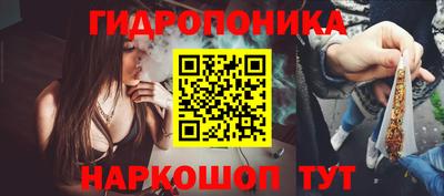 трава Сланцы