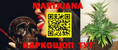 трава Сланцы