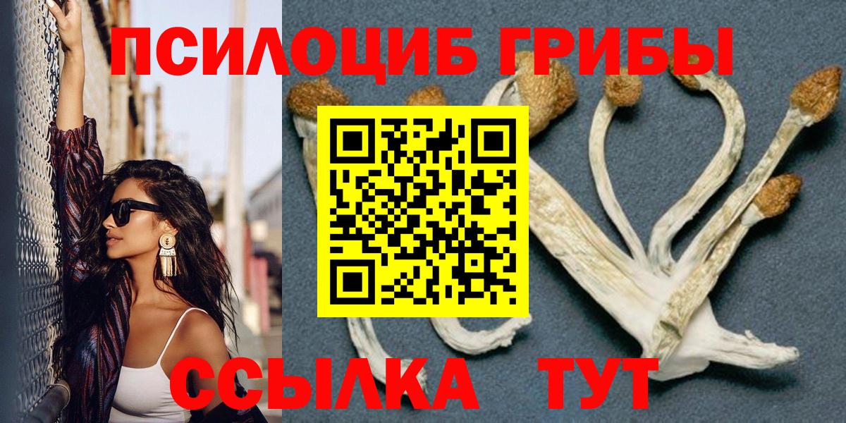 Галлюциногенные грибы Cubensis Асбест