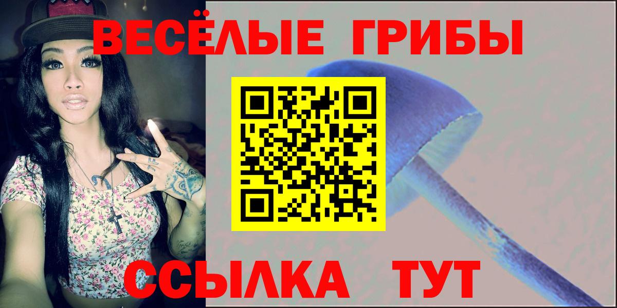 Асбест  Псилоцибиновые грибы Cubensis  Вход с VPN 
